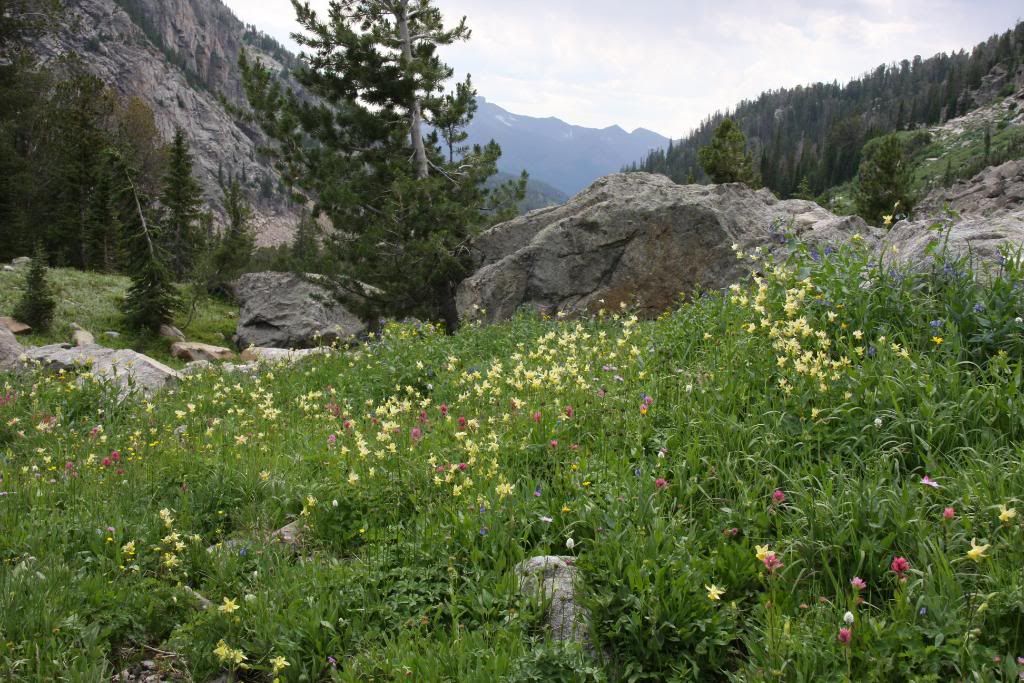 Goose lake jeep trail #5