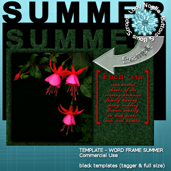 Template: Word Frame Summer