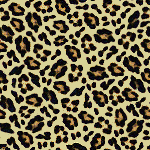 Leopard Wallpaper Background