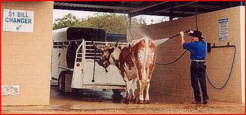 Only in Texas #2 - General Chat