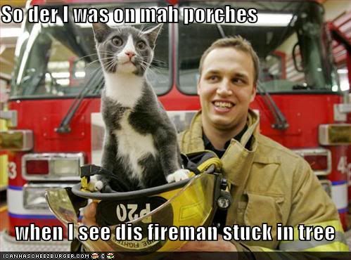 funny-pictures-cat-rescues-fireman-from-tree-1.jpg