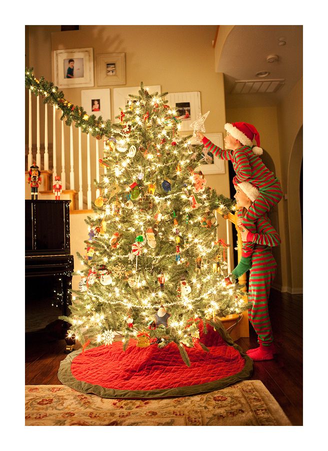 2011-christmas-tree.jpg