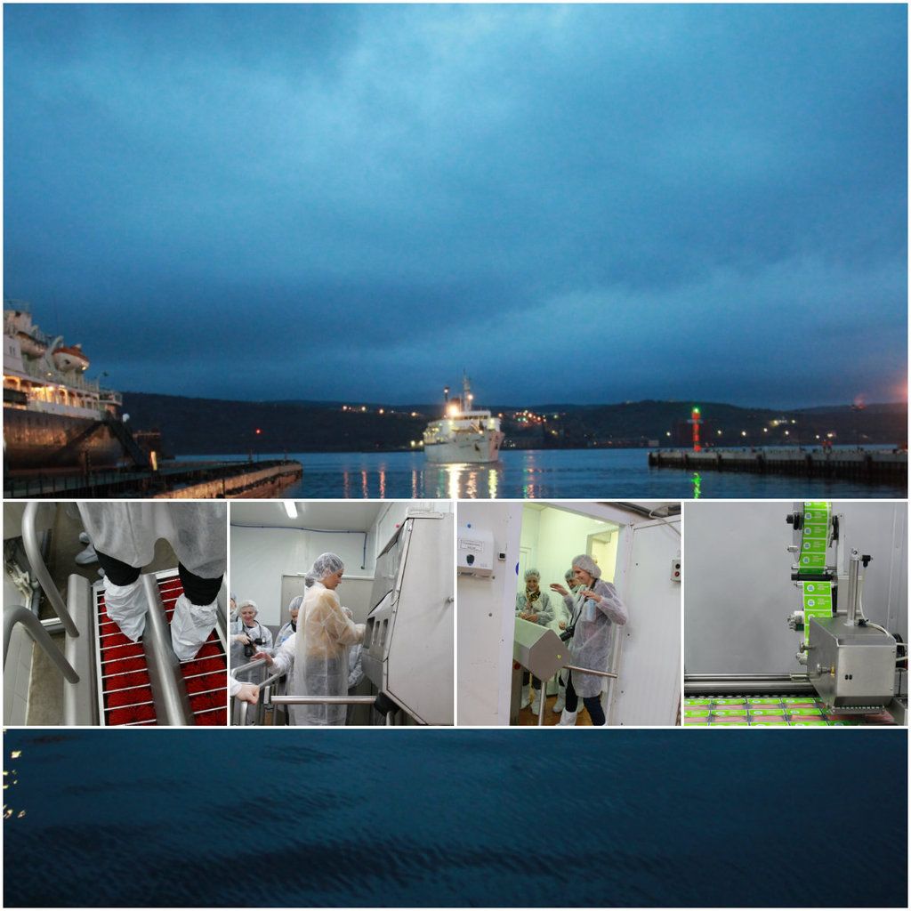 photo collage5_zps9xtkeqkz.jpg