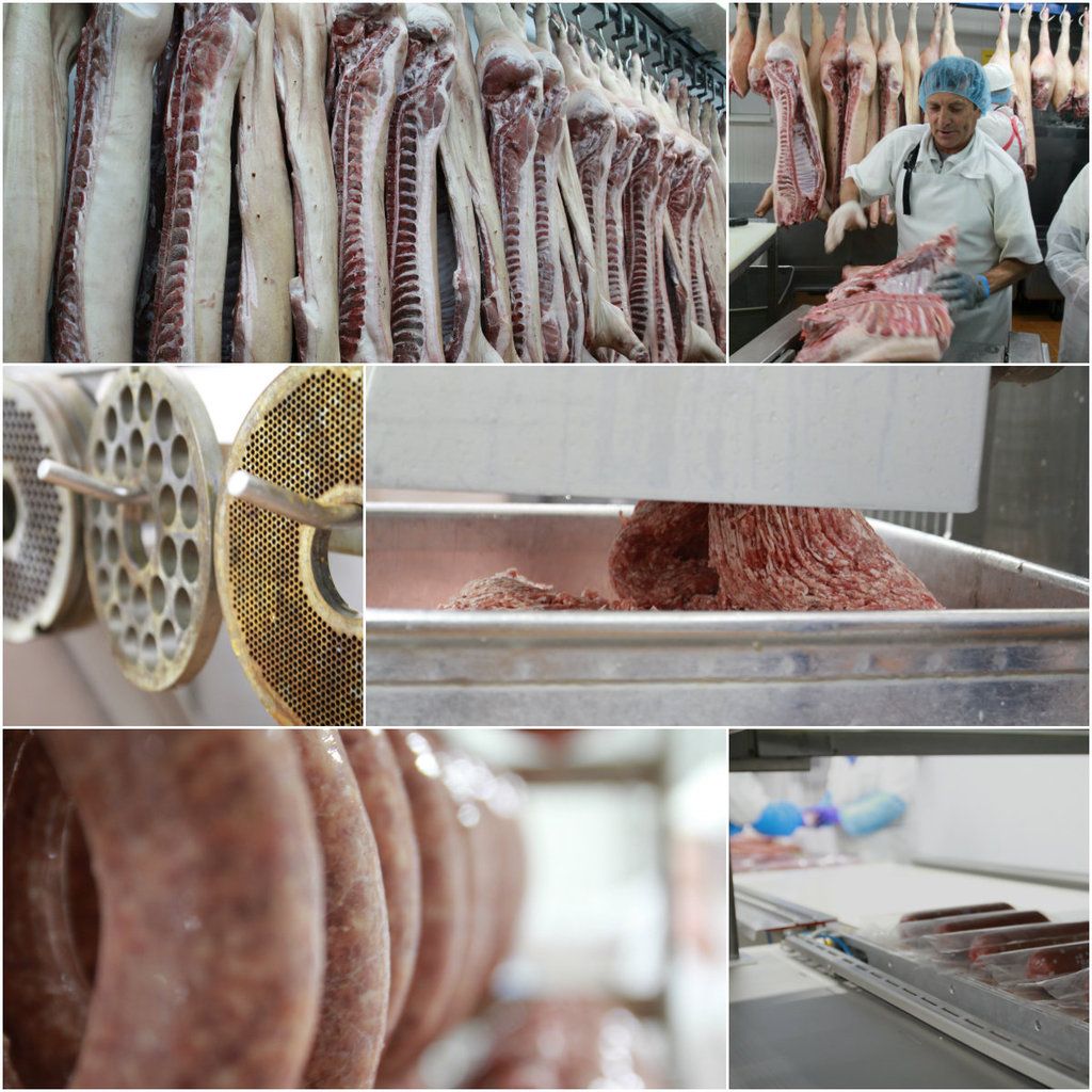 photo collage_zps7cmlesa3.jpg