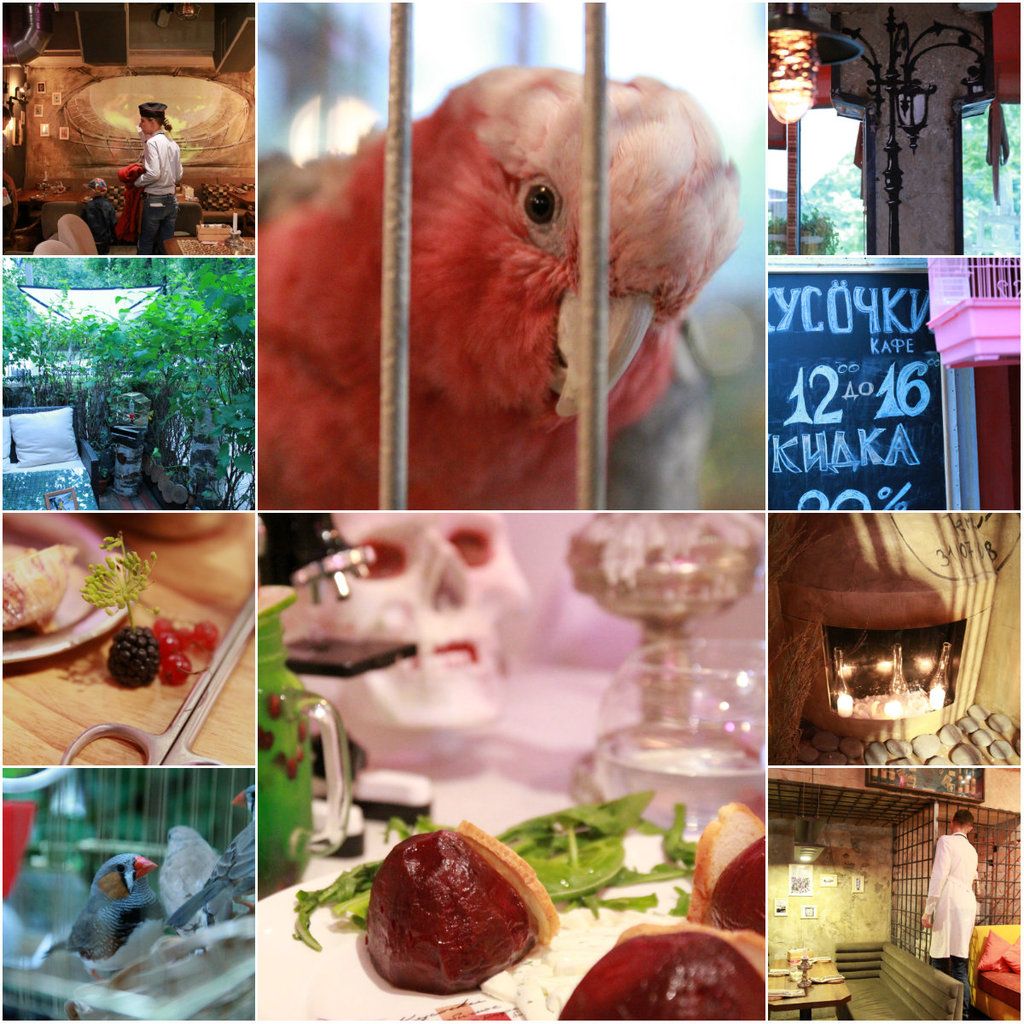 photo collage2_zpsn5fjrxa5.jpg