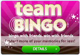 th_team-bingo-1.png