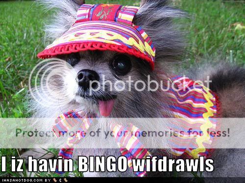 funny-dog-pictures-your-dog-wants-to-play-bingo.jpg